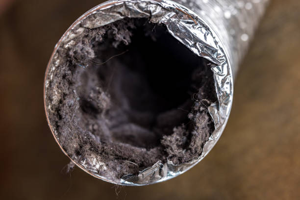 Best Local Air Duct Cleaning Services  in Buies Creek, NC